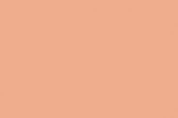 Filz - 90 cm breit Beige/Apricot