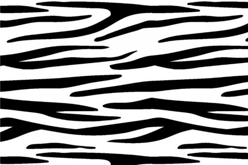 Wellness-Fleece - Zebra