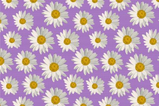 Nano-Softshell - Daisy Flowers