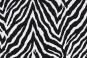 Jacquard - Zebra